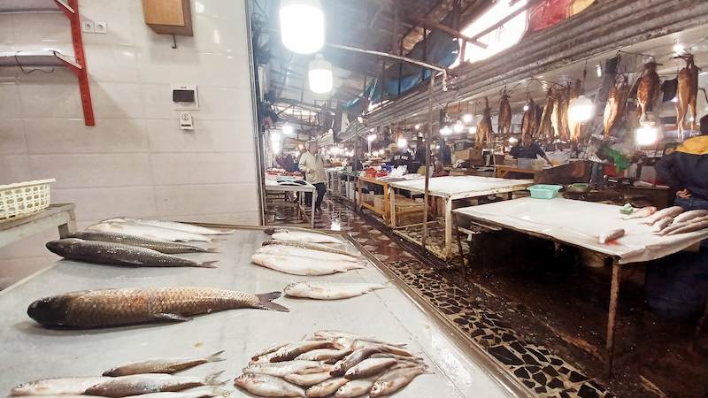 بازار ماهی بابلسر